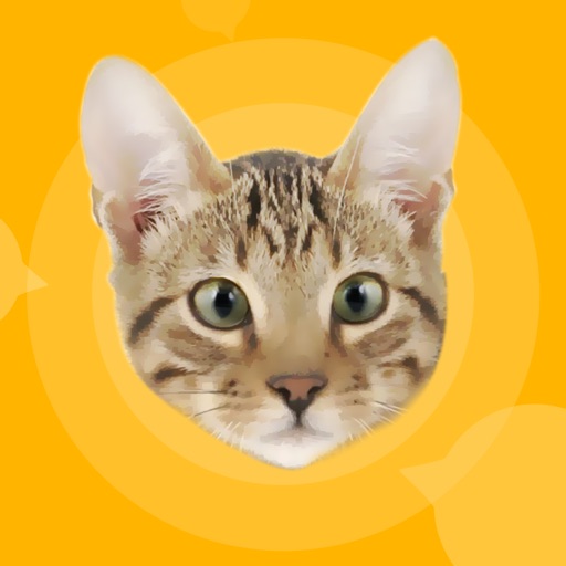 Human to cat translator - talk to your cat ! Icon