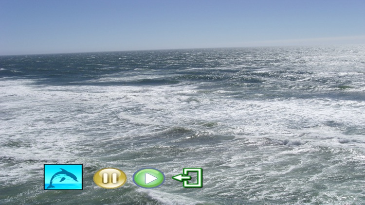 Meditation - Dolphins and Whales featuring Classical Music
