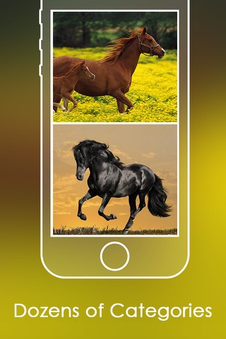 FREE Horse Catalog | Best Horse Breeds Collections screenshot 3