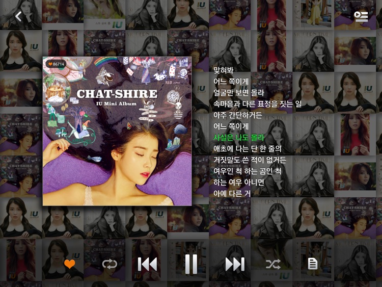 멜론(Melon) for iPad