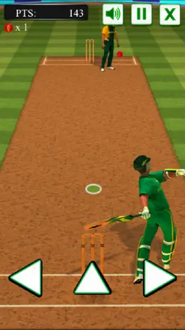 Game screenshot Super Cricket Batter apk