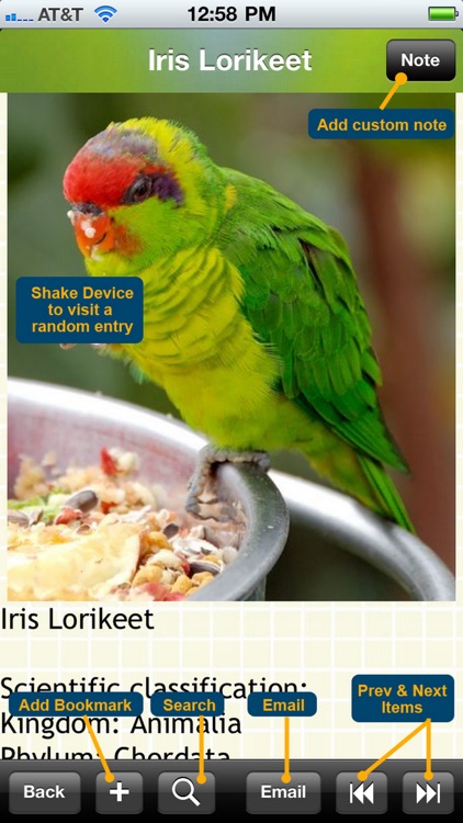 The Parrots Bible screenshot-3