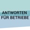 Die App ist insbesondere für Betriebsinhaber/innen und Personalentscheider/innen konzipiert, bietet aber allen, die sich zu den Themen Ausbildung und Beschäftigung von Menschen mit Behinderung informieren wollen, einen guten Überblick