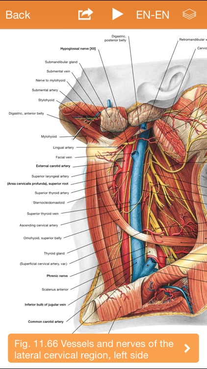 Sobotta Anatomy Atlas screenshot-3