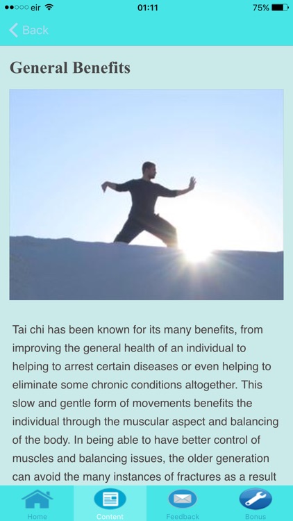 Tai Chi For Beginners - Stages of Development screenshot-4