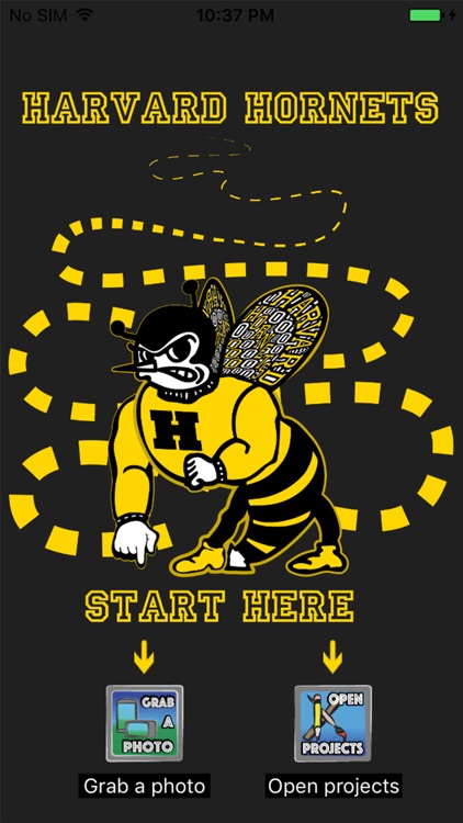 Harvard Hornets Mobile by Brad Nolan