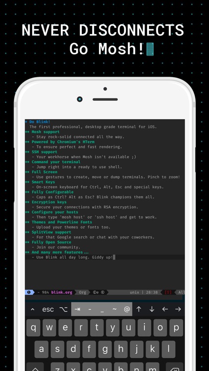 Blink Shell: Mosh & SSH Terminal