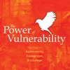 Quick Wisdom from The Power of Vulnerability