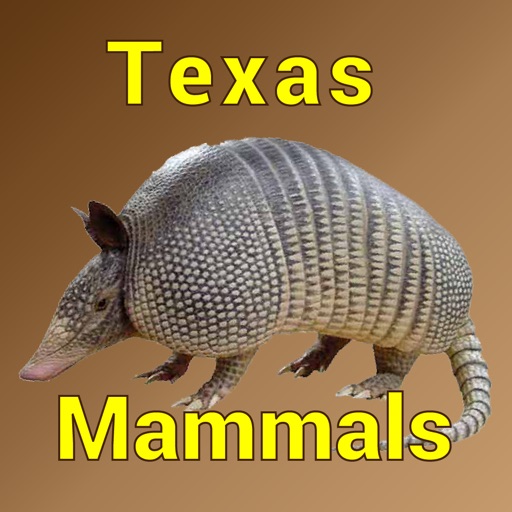 texas-mammals-guide-to-common-species-by-i-m-d-publicacion-c-a