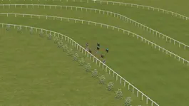 Game screenshot Horse Racing 2016 hack