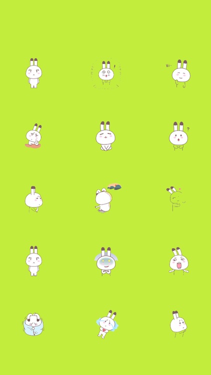 Cute Rabbit Gif