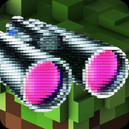 Camera Craft Vision icon