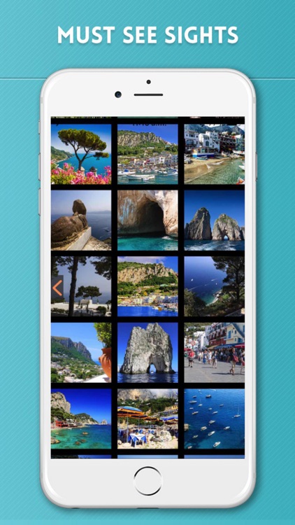 Capri Travel Guide screenshot-3