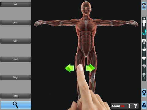 Human Anatomy Pro 3D screenshot 4