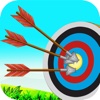 Archery Shooter Mania