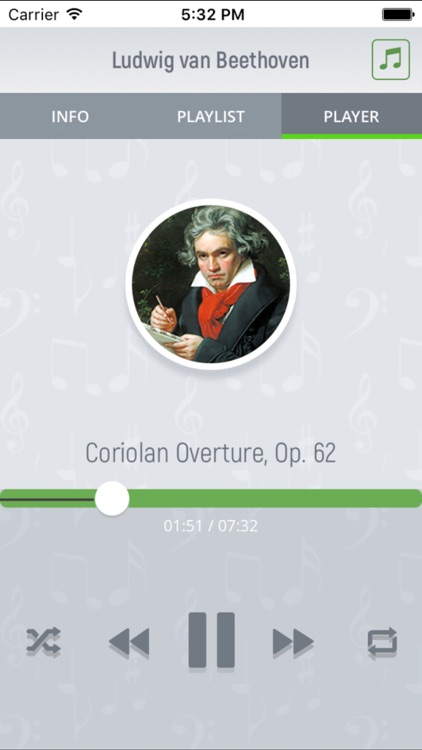 Ludwig van Beethoven - Classical Music screenshot-3