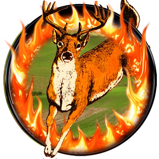 Deer Hunt Season 2016 iOS App