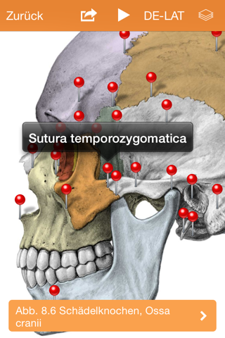 Sobotta Anatomy Atlas screenshot 3