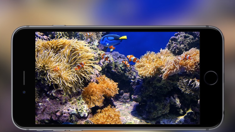 Aquarium - live tropical fish & coral reef screenshot-3