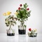 Want to DIY learn ALL about Flower Arrangement and tips