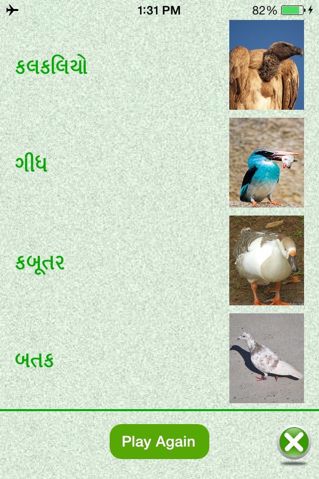 Flashcards Gujarati Lesson screenshot 4