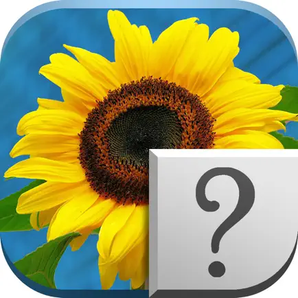 Picture Guess - Cognitive Stimulation Читы