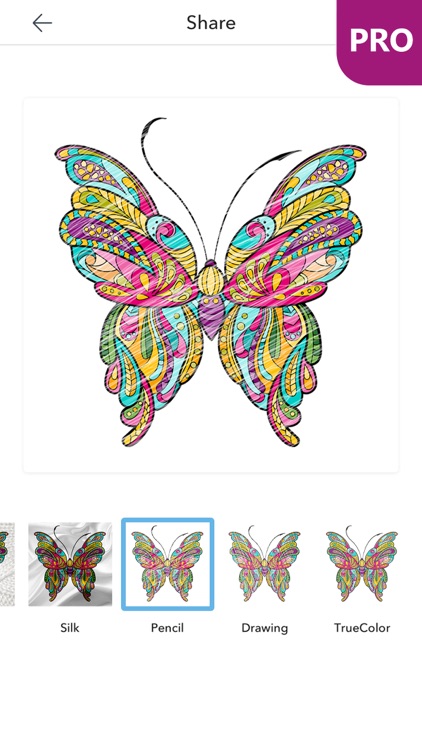 Butterfly Coloring Pages for Adults PRO