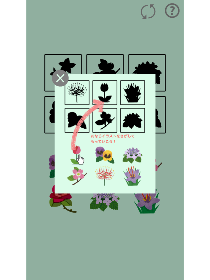 Puzzle Flower for Kids
