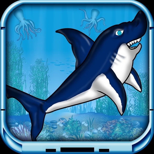 Happy Shark iOS App