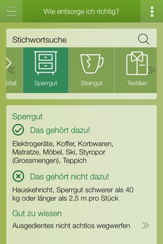 Sauberes Zürich screenshot 3