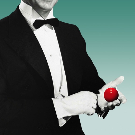 Snooker Referee