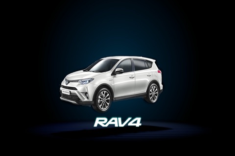 RAV4 T.I.G screenshot 4