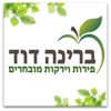 ברינה דוד- ירקות ופירות by AppsVillage