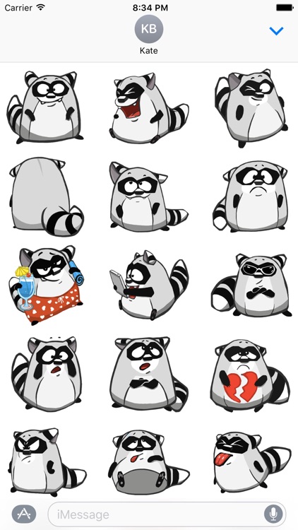 Barney the Raccoon