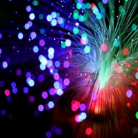 광학 용어: 학습 가이드 와 쪽지 PC 용