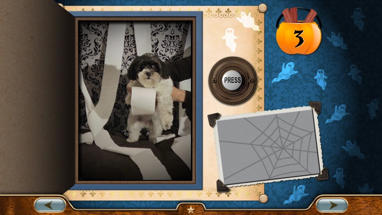 Millie's Book of Tricks and Treats, Volume 2