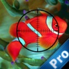 A Shark Sniper Pro : Underwater Hunting Challenge