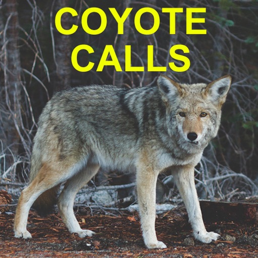 Coyote Calls for Hunting