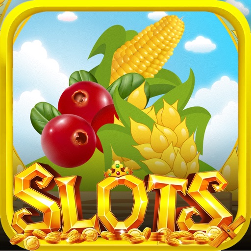 Fun Farmer Slots - Casino with Big Bonus icon