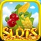 Fun Farmer Slots - Casino with Big Bonus