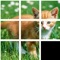 Jigsaw Animal is an easy, very funny and entertaining game