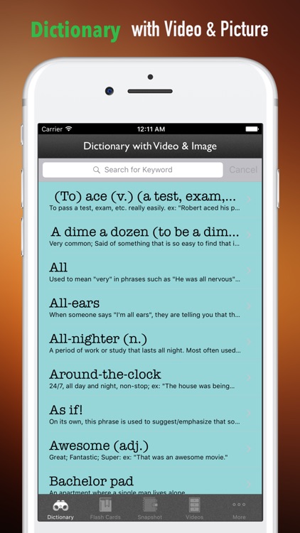 Modern American Slang Study Guide and Glossary screenshot-3