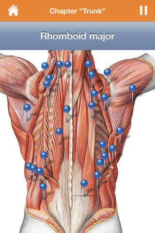 Sobotta Anatomy screenshot 3