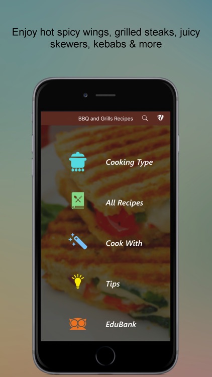 Barbeque and Grill Recipes