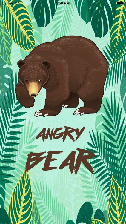 Fun with Bear - Angry Bear in Jungle