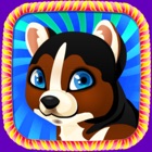 Top 40 Games Apps Like Lovely Puppy Pet:Puzzle games for children - Best Alternatives