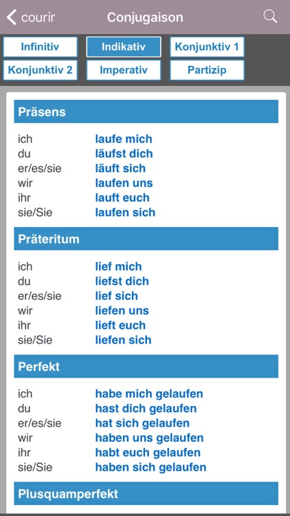 Dictionnaire Allemand-Français Larousse screenshot-4