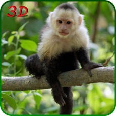 Activities of Monkey Simulator - Wild Life Animals vs Monkey