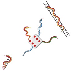 Activities of Fasty Snake Chess