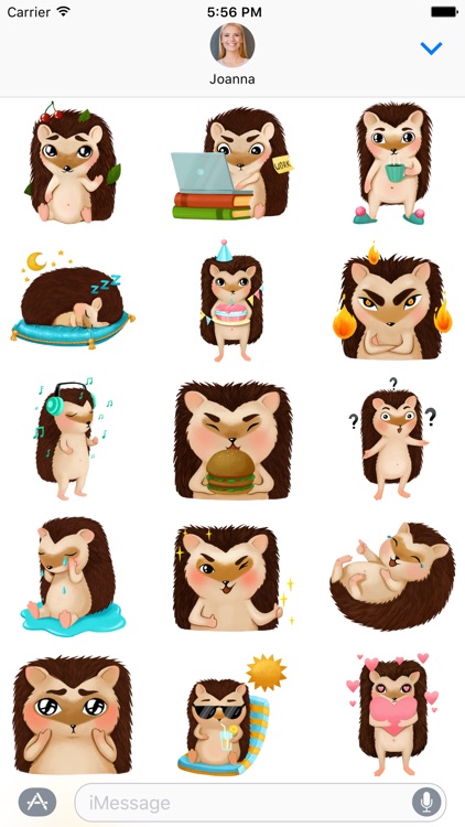 Hami the Hedgehog